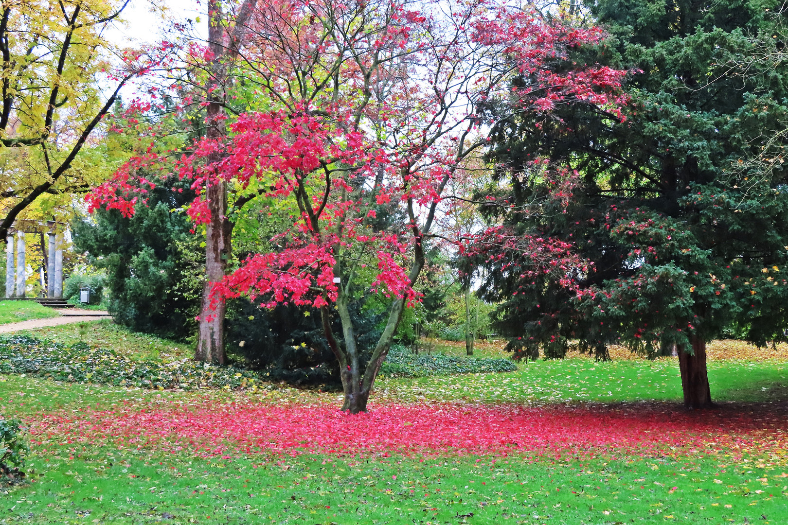 Herbst im Verna-Park 2