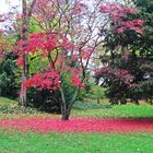 Herbst im Verna-Park 2