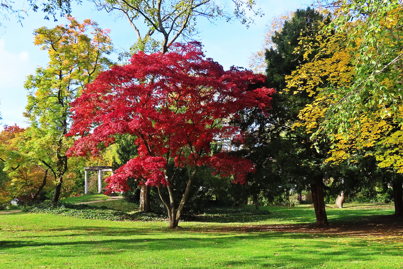 Herbst im Verna-Park