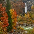 Herbst im Verzascatal