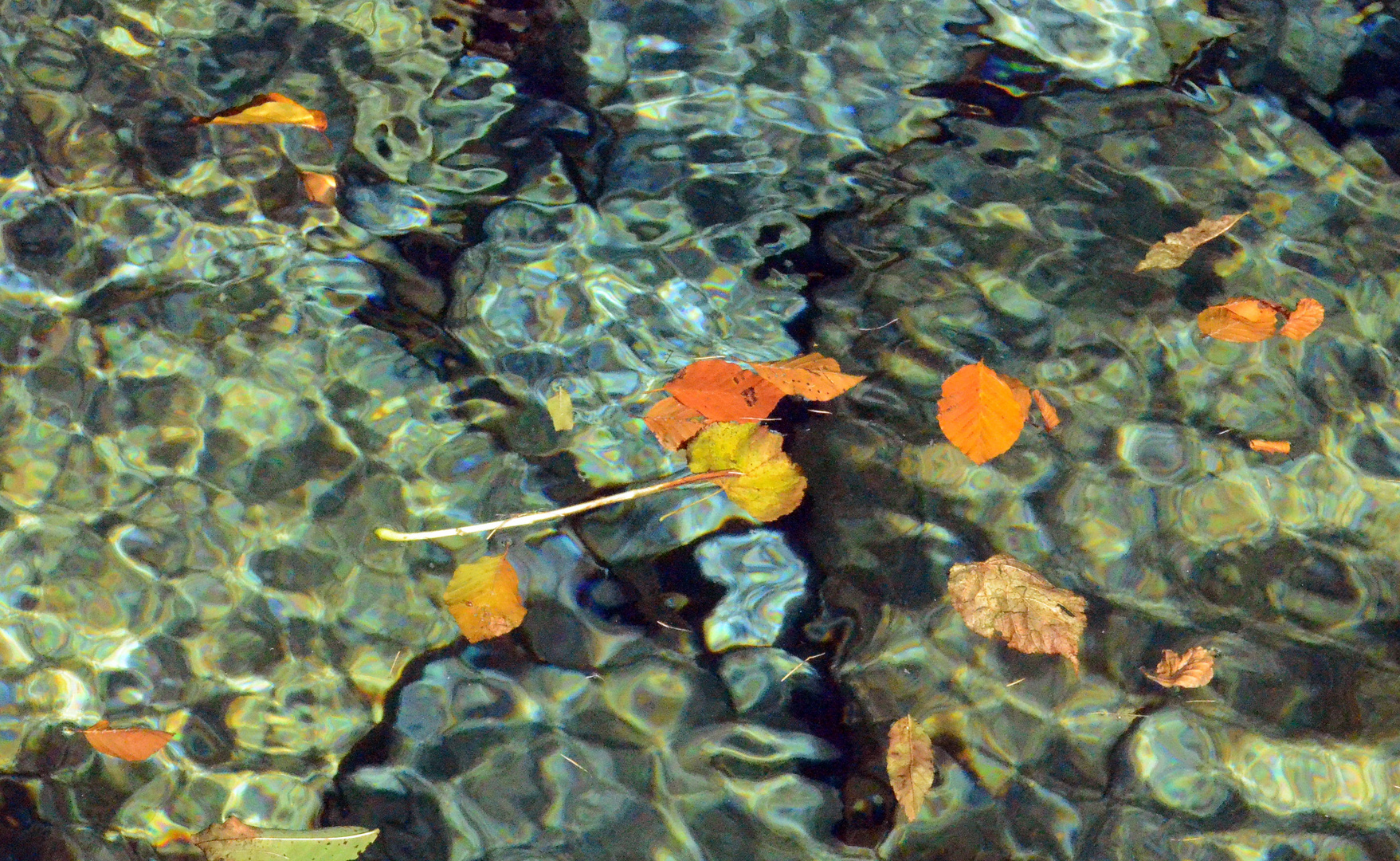 Herbst im Verzascatal (CH)