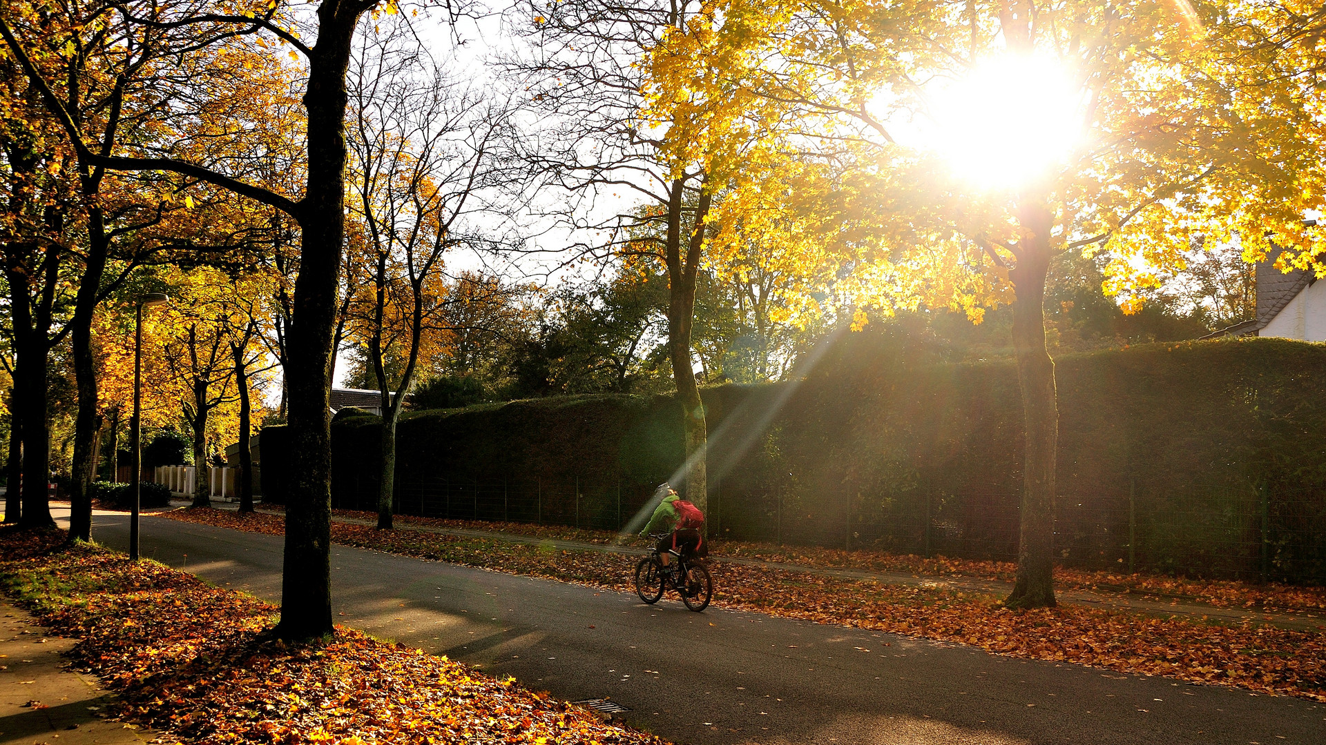 Herbst im Viertel