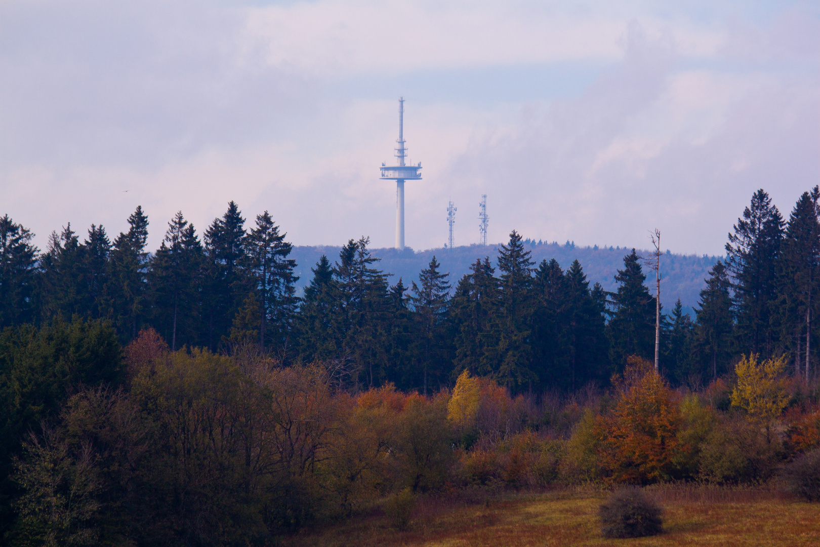 Herbst im Vogelsberg