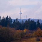 Herbst im Vogelsberg