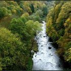 Herbst im Vogtland