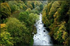 Herbst im Vogtland