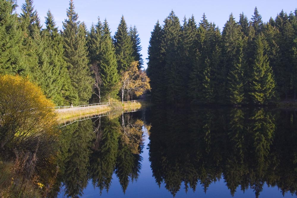 Herbst im Vogtland