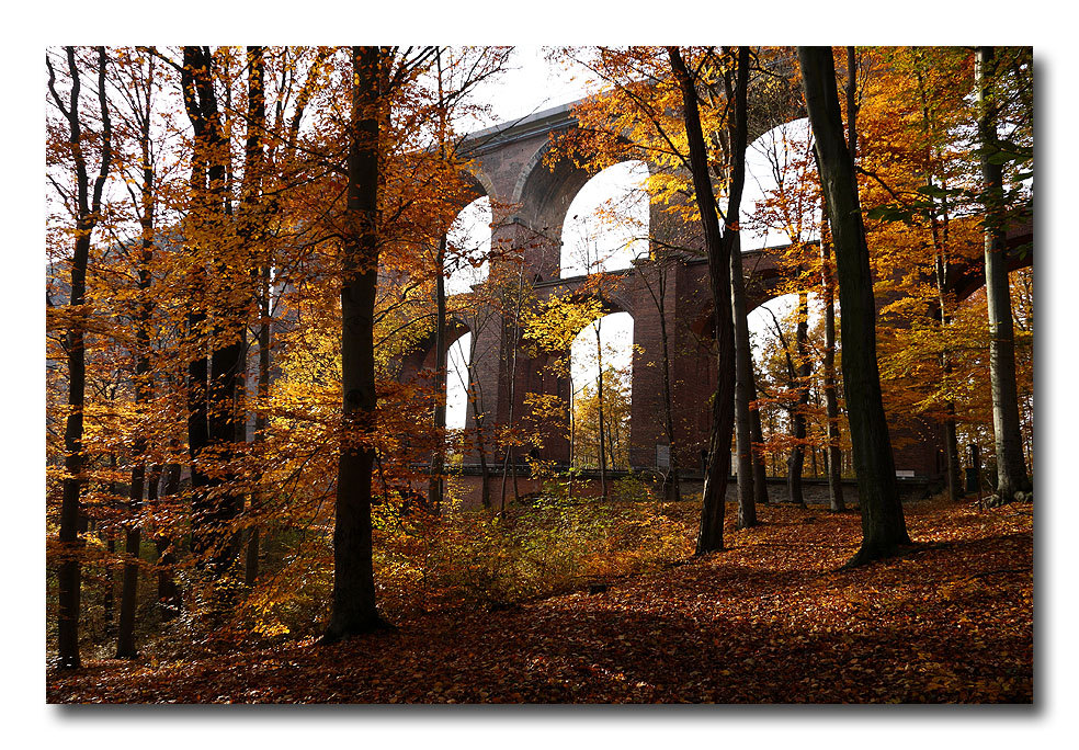 Herbst im Vogtland