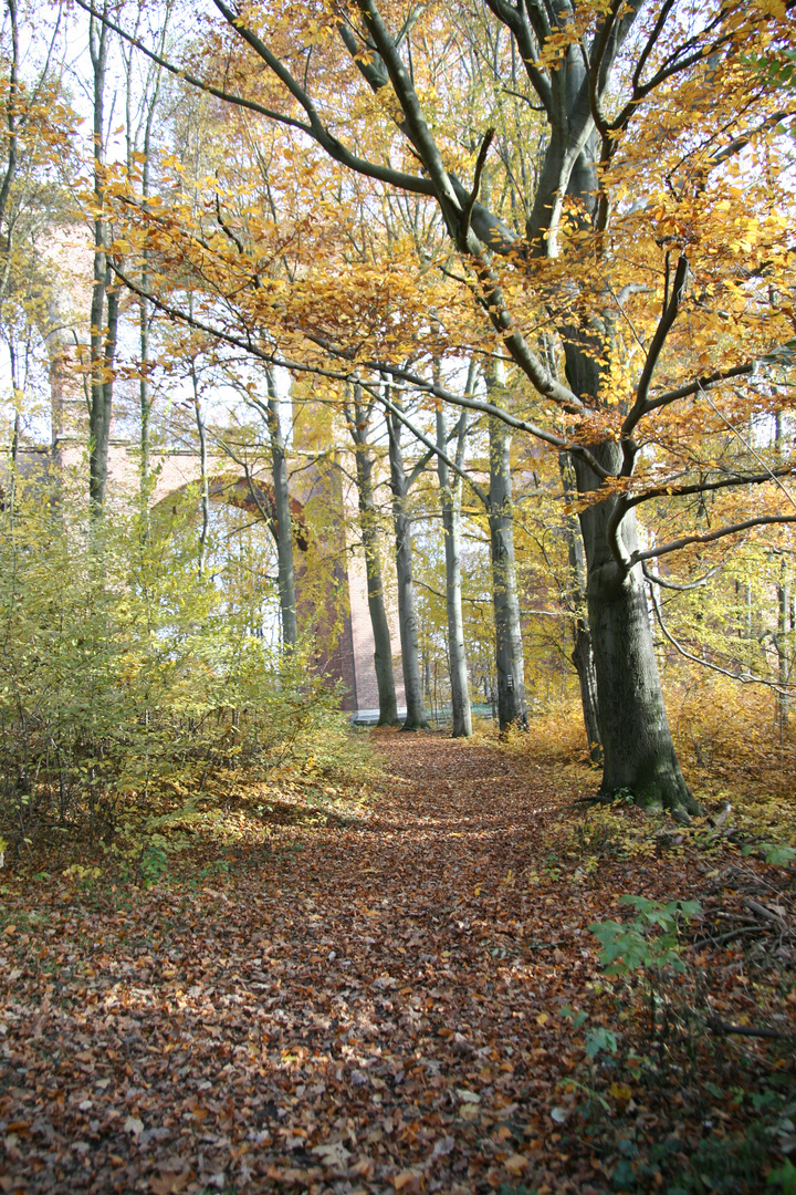 Herbst im Vogtland