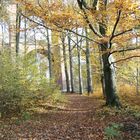 Herbst im Vogtland