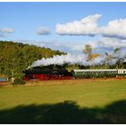 Herbst im Vogtland...