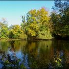 Herbst im Volksgarten 