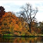 Herbst im Volksgarten