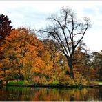 Herbst im Volksgarten