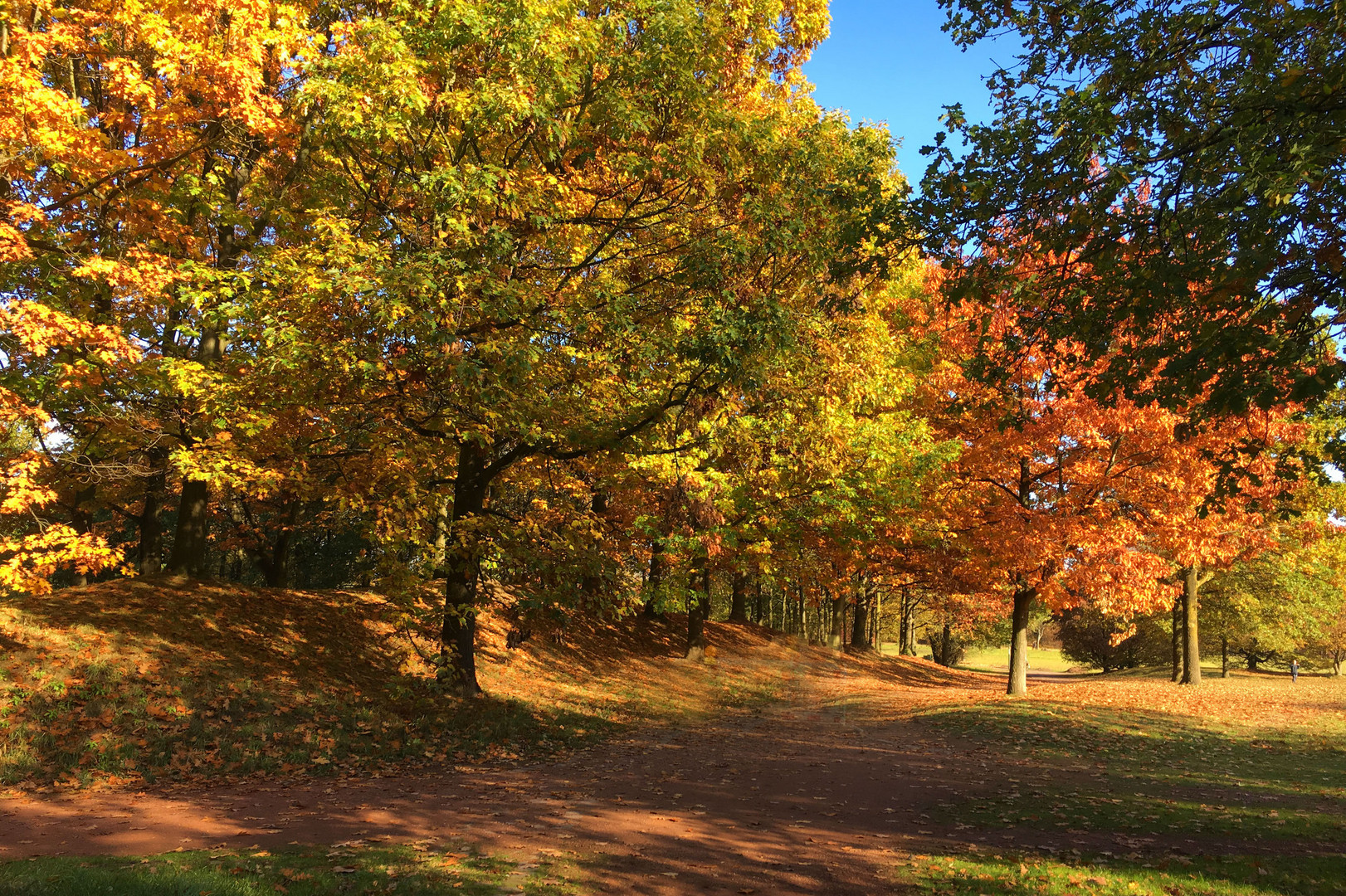 Herbst im Volksgarten Düsseldorf...