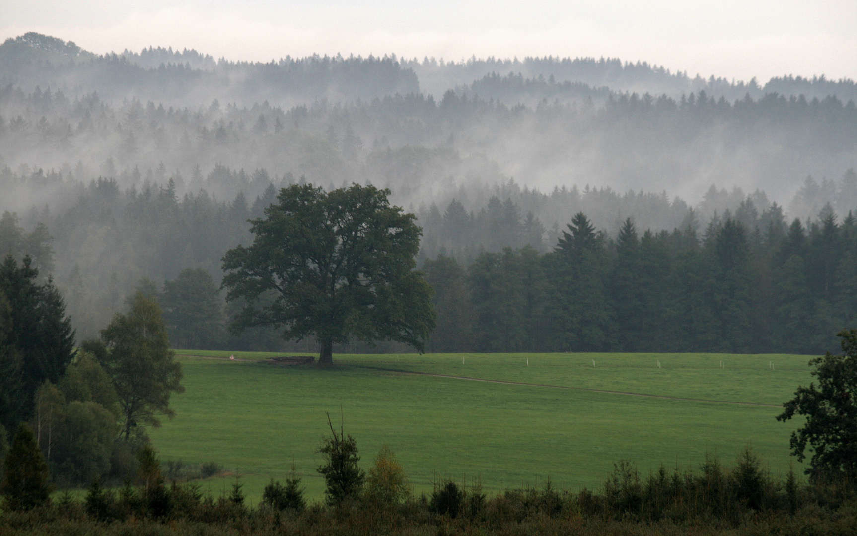 Herbst im Voralpenland