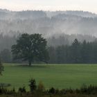 Herbst im Voralpenland