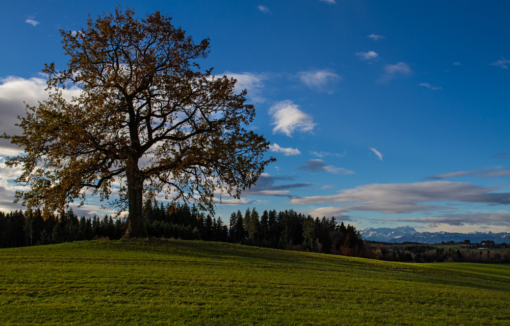 Herbst im Voralpenland