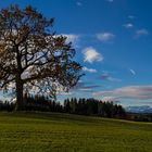 Herbst im Voralpenland