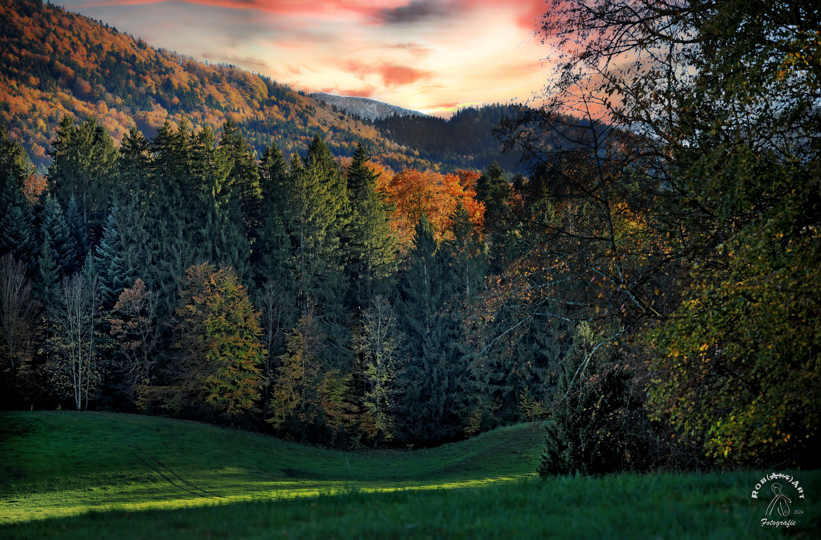 Herbst im Vorgebirge