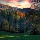 Herbst im Vorgebirge