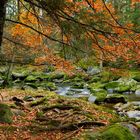 Herbst im Vydratal