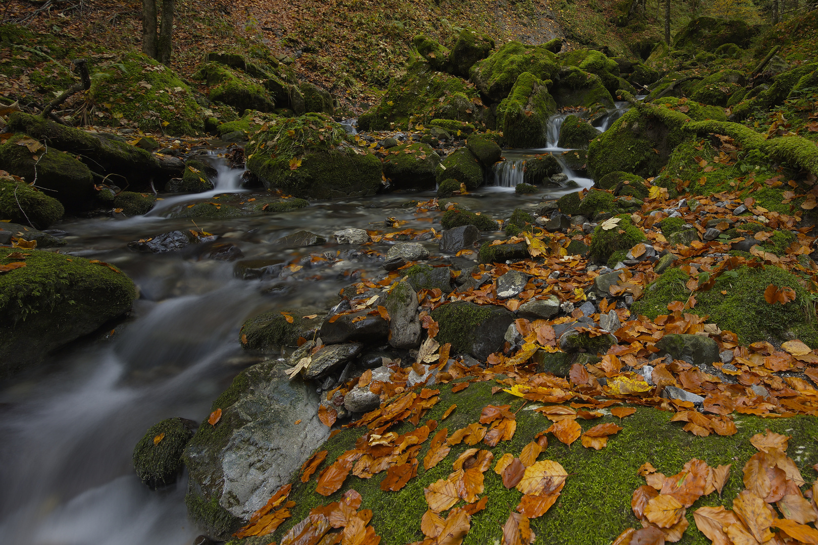 Herbst im Wägital