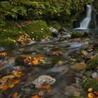 Herbst im Wägital