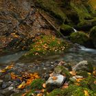 Herbst im Wägital