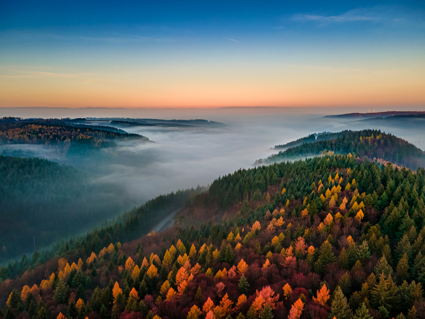 Herbst im Wald