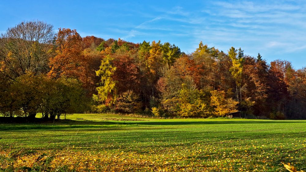 Herbst im Waldecker Land