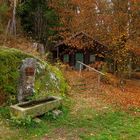 Herbst im Waldnaabtal