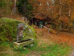 Herbst im Waldnaabtal