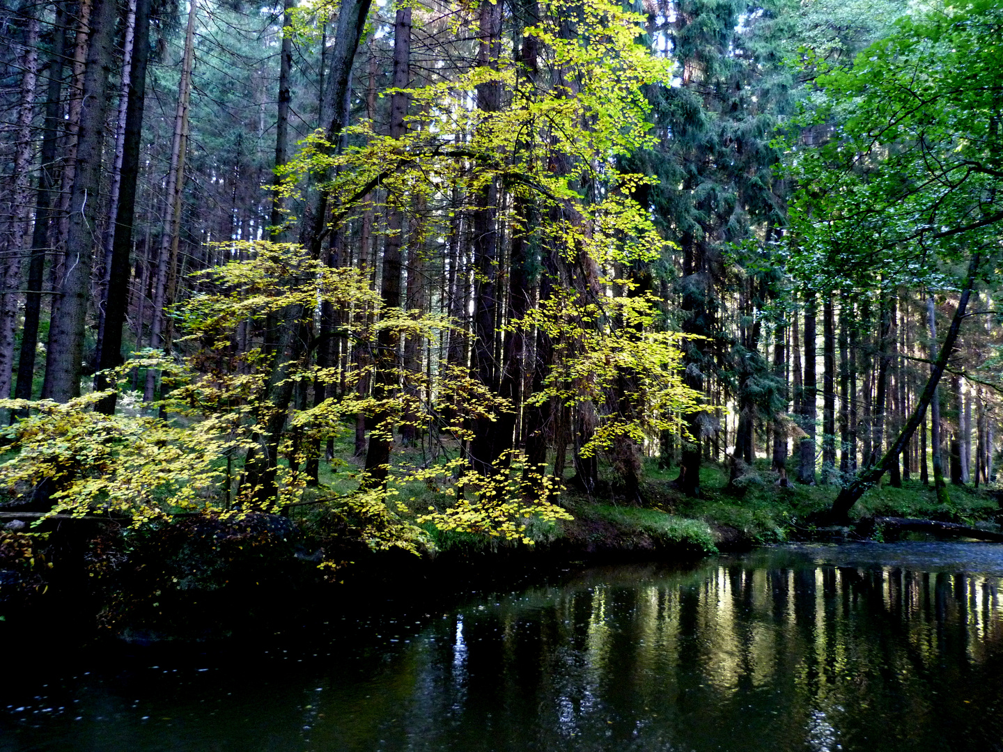 Herbst im Waldnaabtal