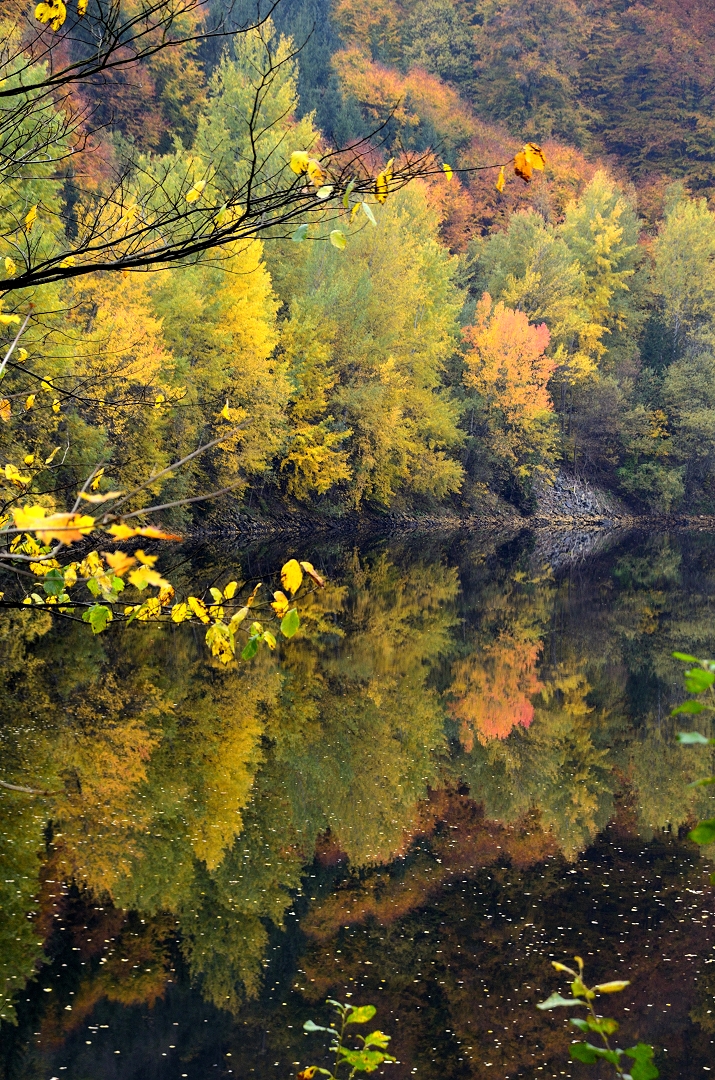 herbst im waldviertel