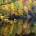 herbst im waldviertel