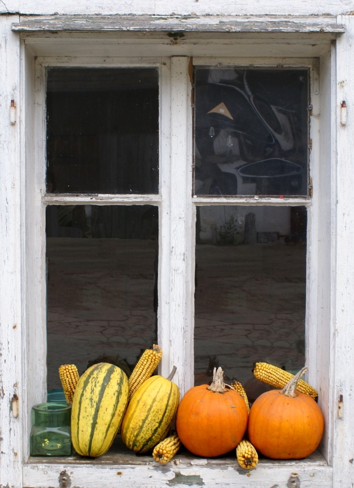 Herbst im Waldviertel