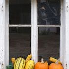 Herbst im Waldviertel