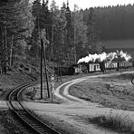 Herbst im Waldviertel