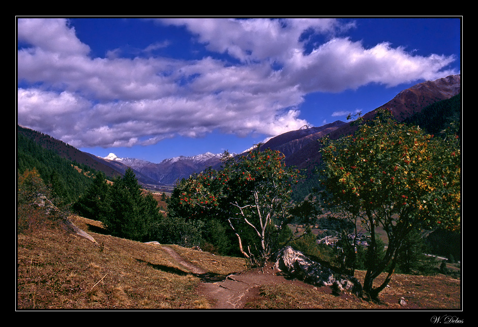 Herbst im Wallis 2