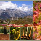 Herbst im Wallis.......