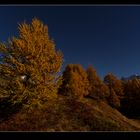 Herbst im Wallis