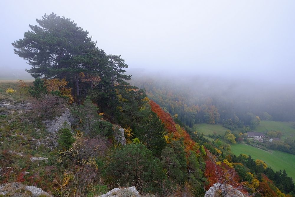 Herbst im Wannental