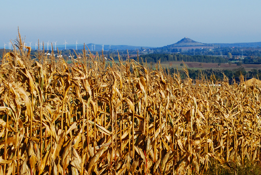 Herbst im Warburger Land