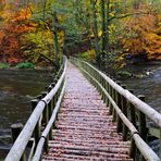 Herbst im Warnowtal