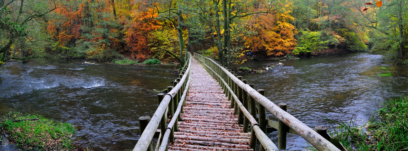 Herbst im Warnowtal