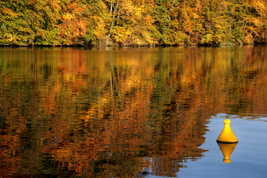 Herbst im Wasser