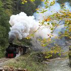 Herbst im Wassertal