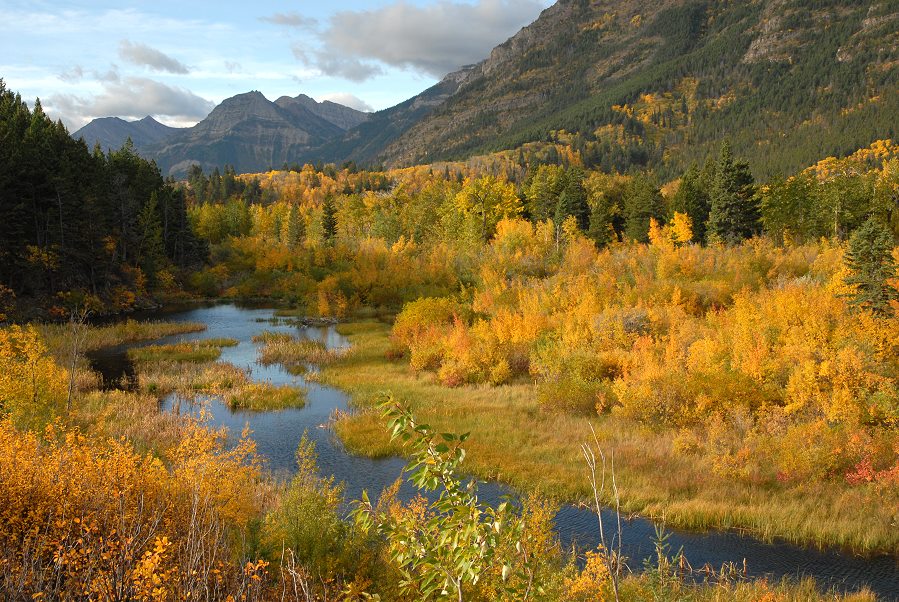 Herbst im Waterton Lakes Nationalpark