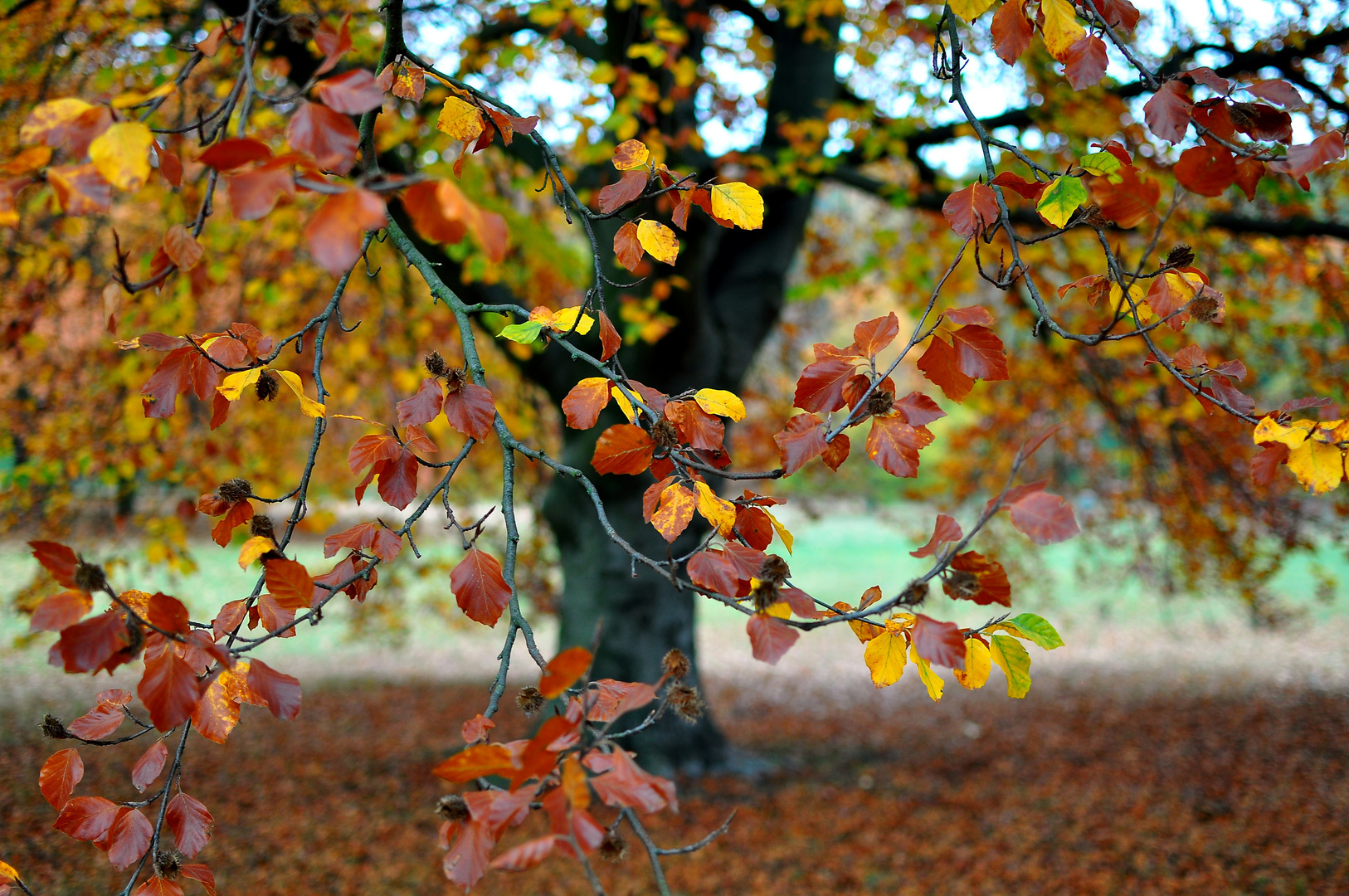 Herbst im Wedding